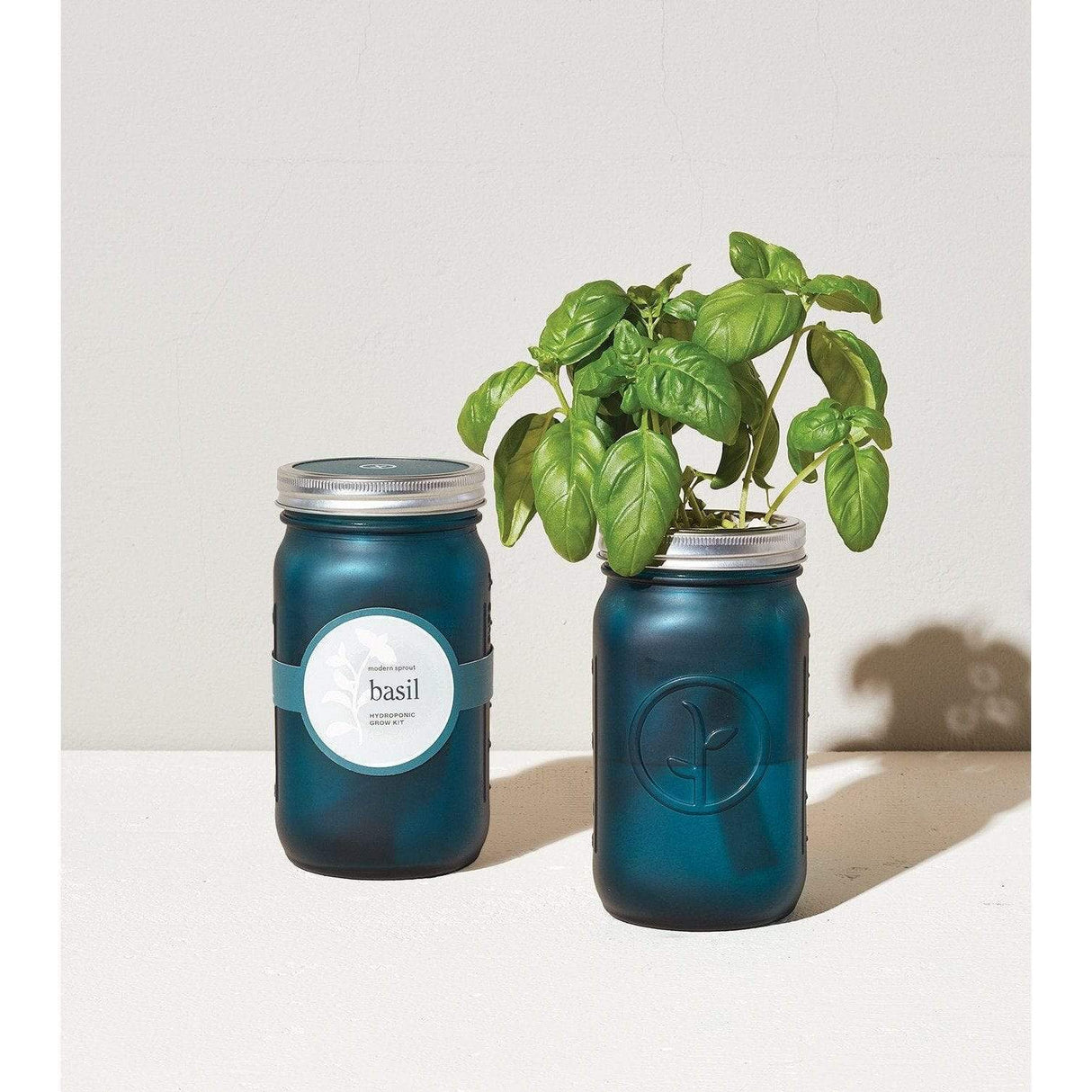 Garden Jar - Basil