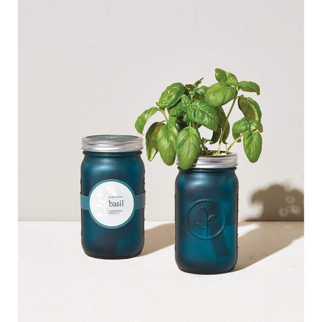 Garden Jar - Basil