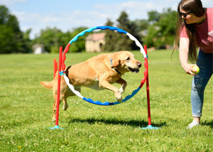 American Ninja Warrior Family Agility Set