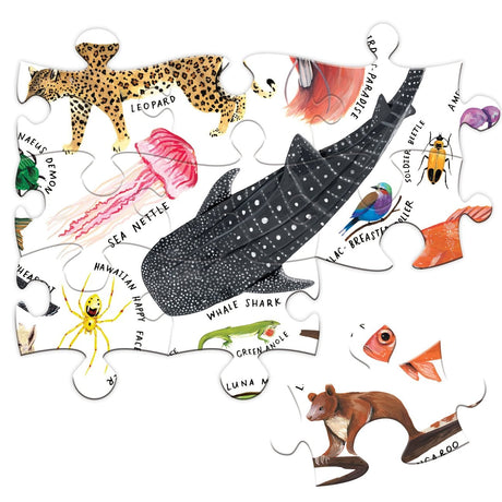 Beautiful World 100pc