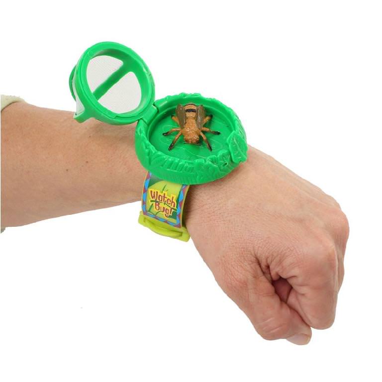 Watch a Bug