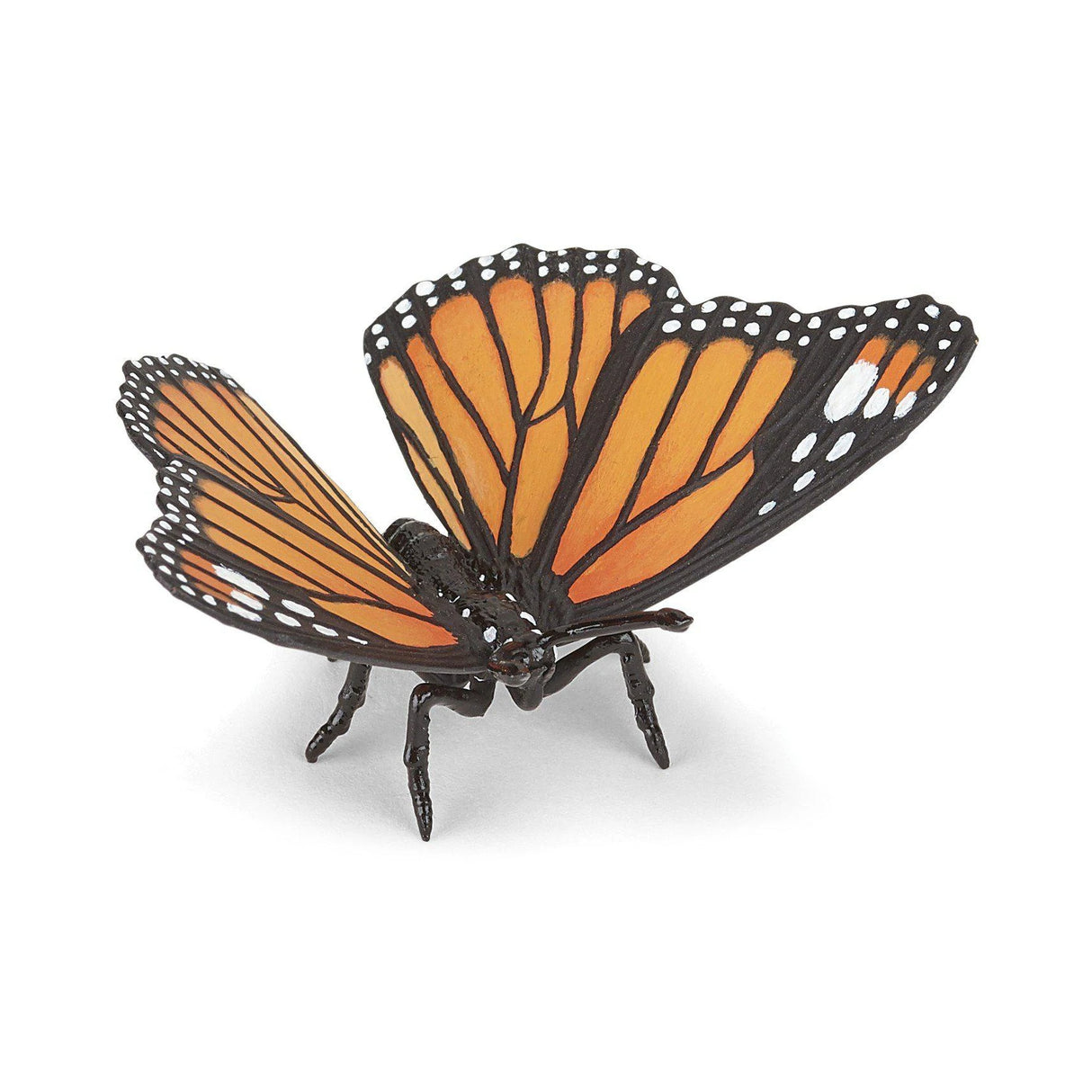 Monarch Butterfly