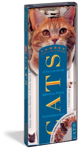Cats Fandex