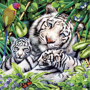 550 Piece Harmony Assortment