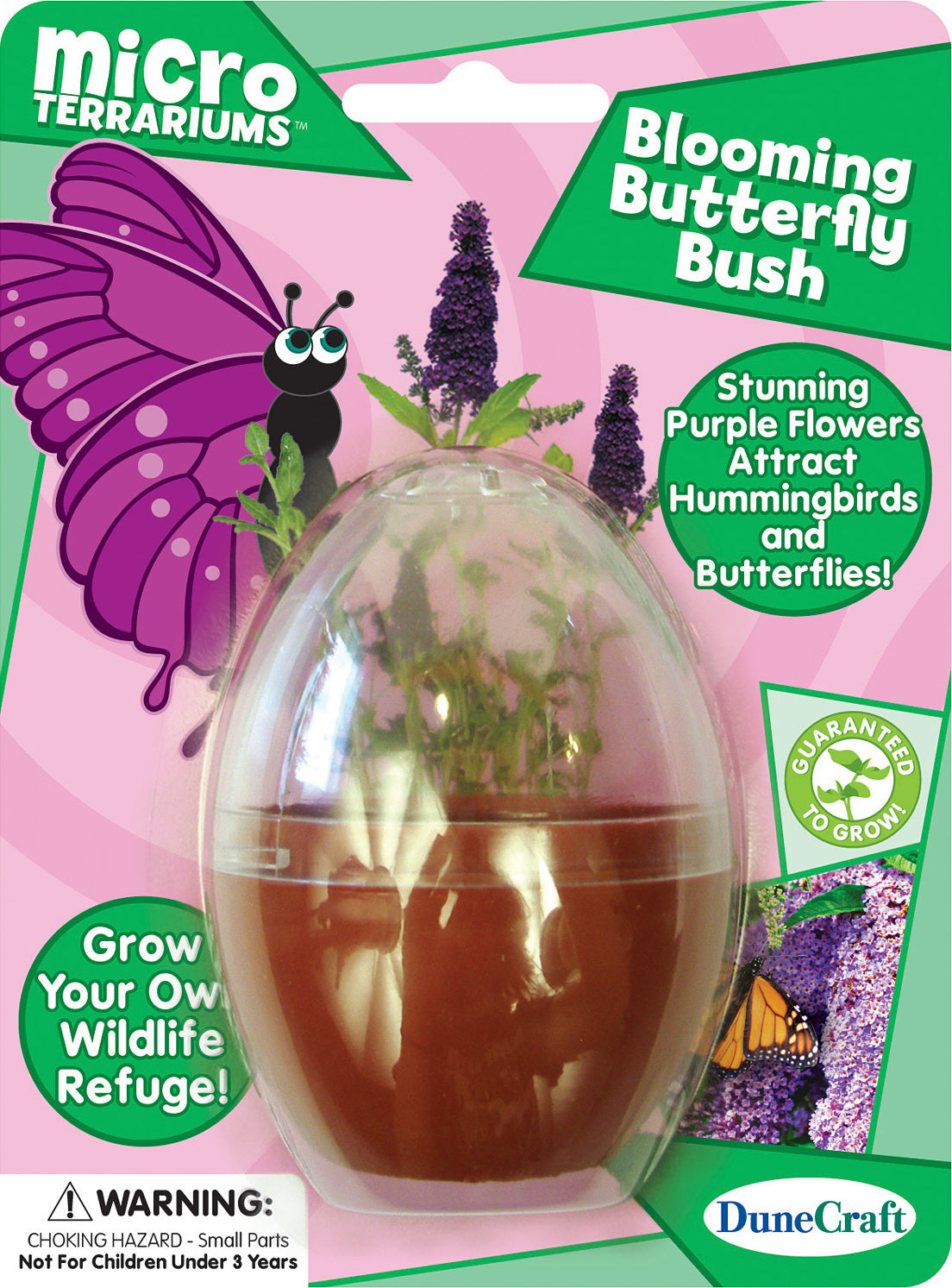 Blooming Butterfly Bush