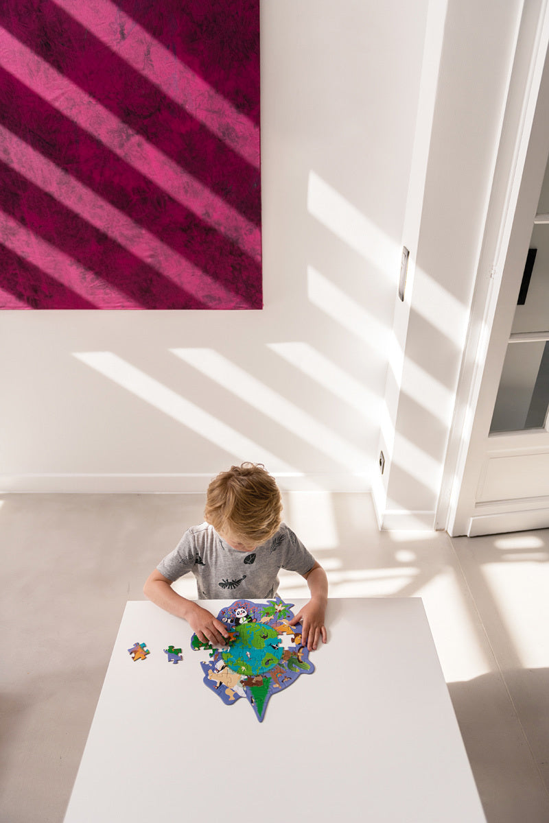 Contour Puzzle World 45 pcs