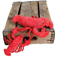Newburg Nugget Lobster