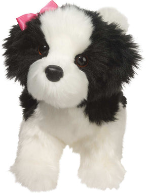 Poofy Shih-Tzu