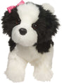 Poofy Shih-Tzu