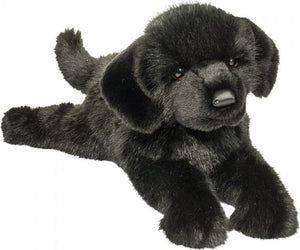 Jake  Black Lab*