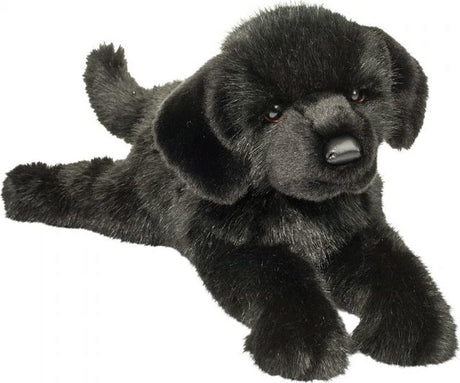 Jake  Black Lab*