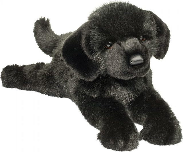 Jake  Black Lab*
