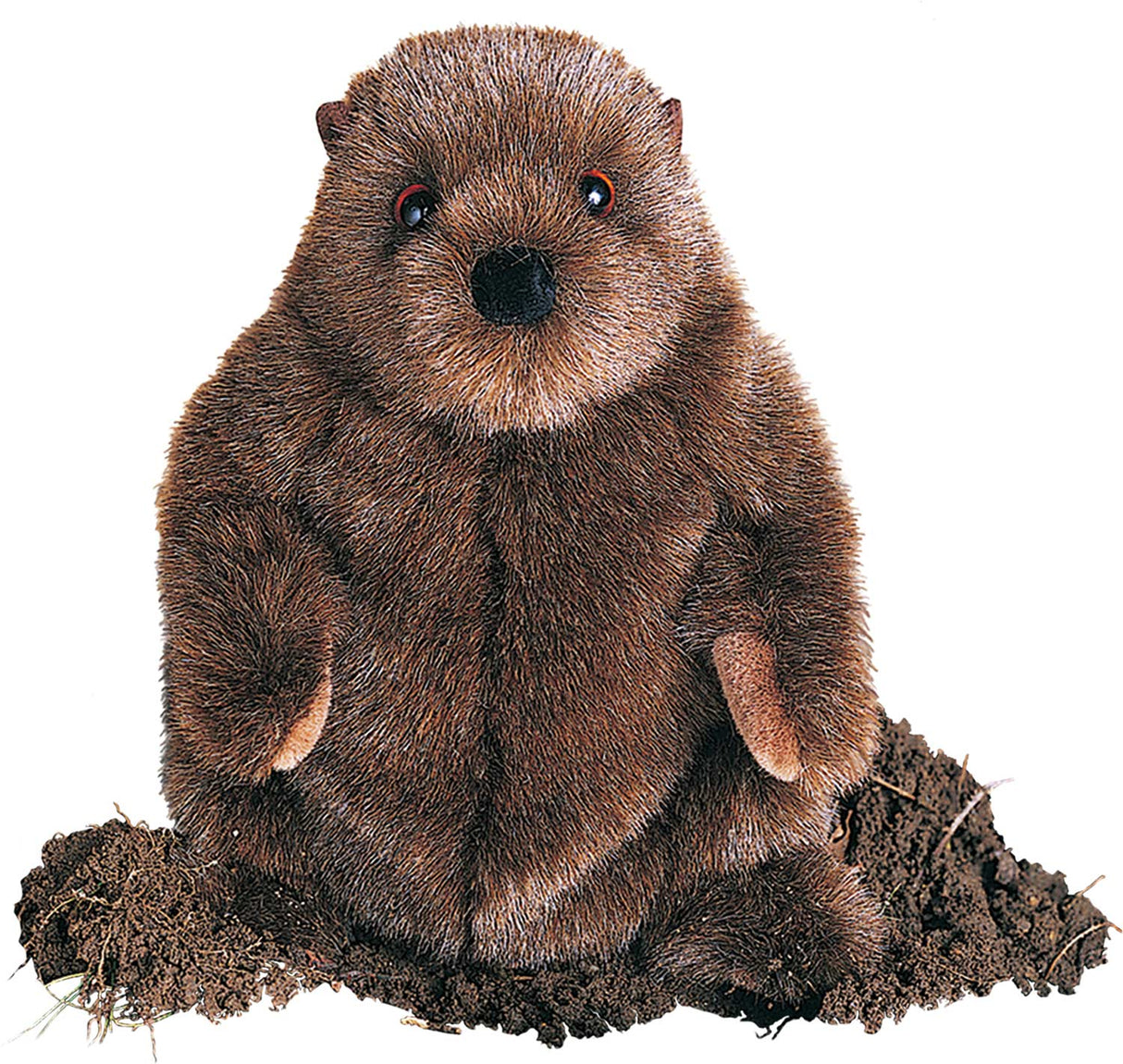 Chkwood Groundhog