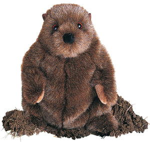Chkwood Groundhog