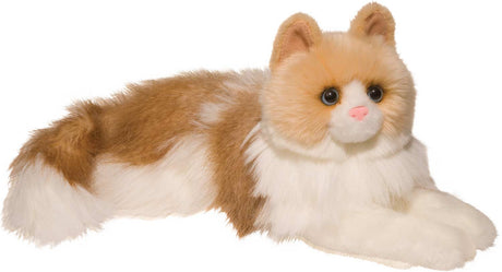 Kiki Ragdoll Cat