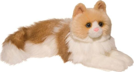 Kiki Ragdoll Cat