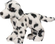 Dooley Dalmatian
