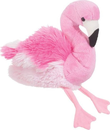 Ctn Candy Flamingo