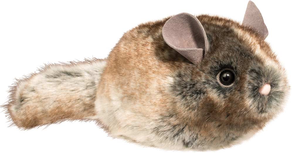 Camilla Chinchilla