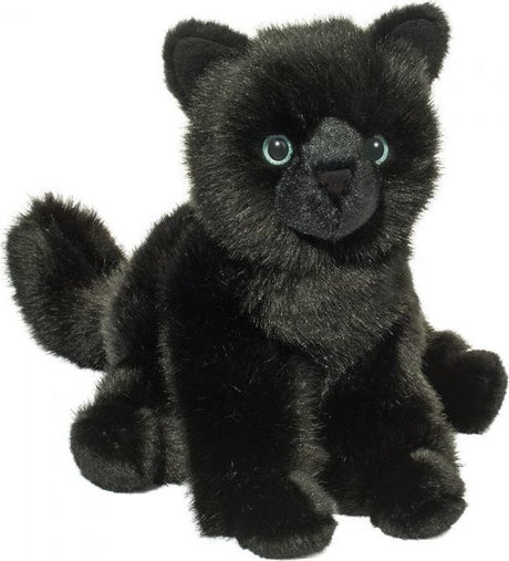 Salem Black Cat*