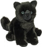 Salem Black Cat*