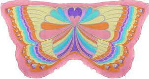 Pink Rainbow Butterfly Wing