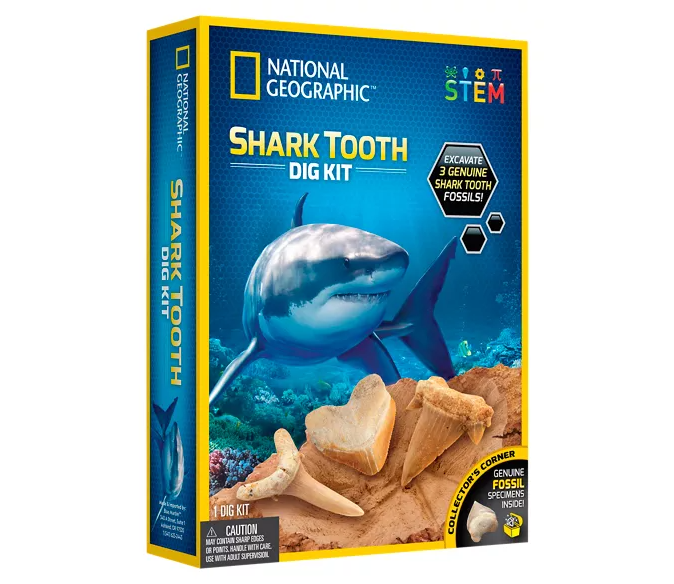 NatGeo Shark Tooth Dig Kit
