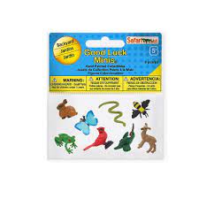 Fun Pack - Backyard