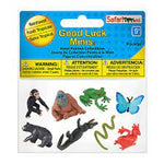 Fun Pack - Rainforest
