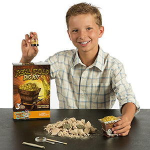 Real Gold Dig Kit - Dig Up Real Pyrite Nuggets (Vial of Real Gold Included!)