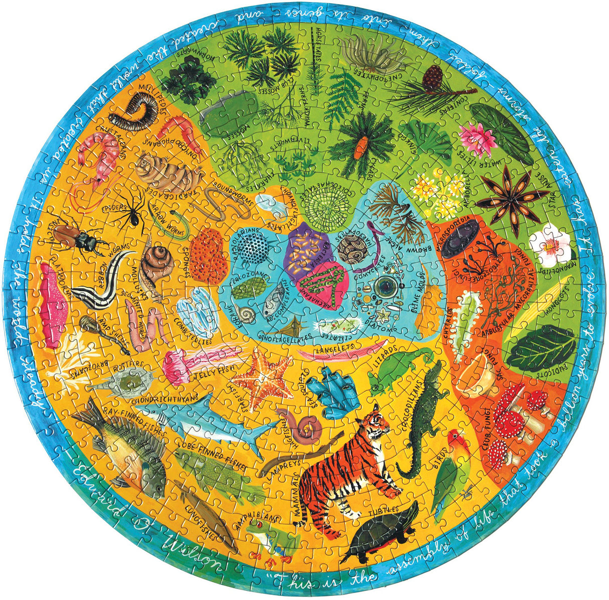 Biodiversity 500 Piece Round Puzzle