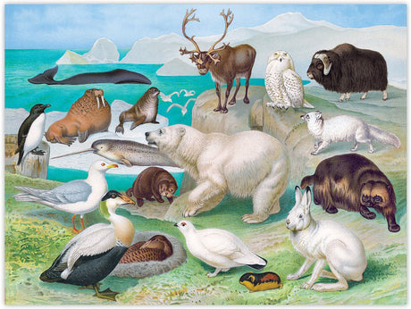Beautiful World Arctic 1000 Piece Rectangle Puzzle