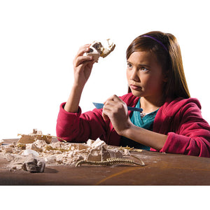 Geosafari Dino Dig Velociraptors