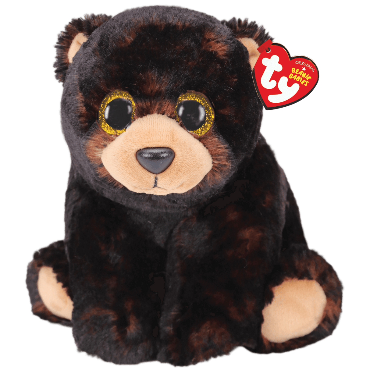 Kodi - Black Bear Medium