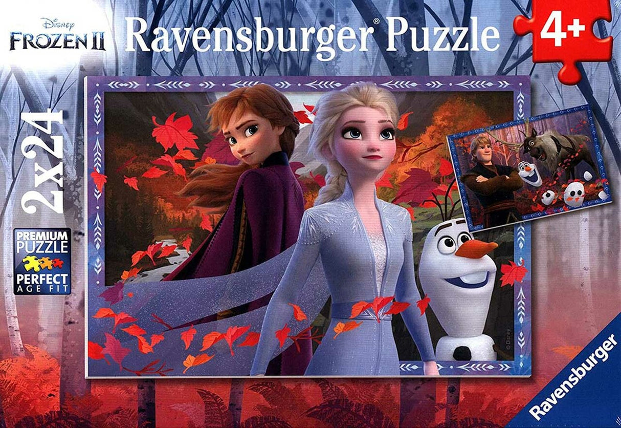 2x24pc - Frosty Adventures