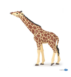Giraffe w/ Head Up