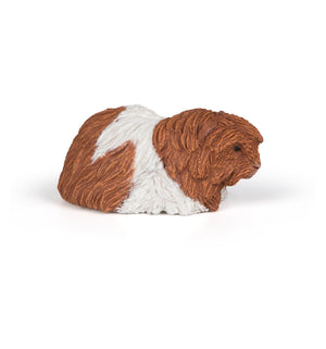 Guinea Pig