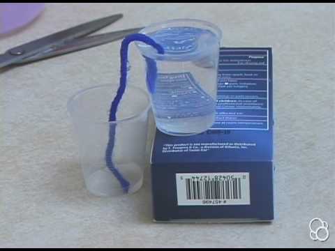 Stepping Into Science