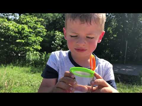 Terra Kids - Camping Light