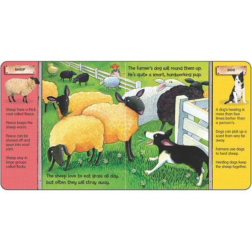 Junior Groovies: On The Farm