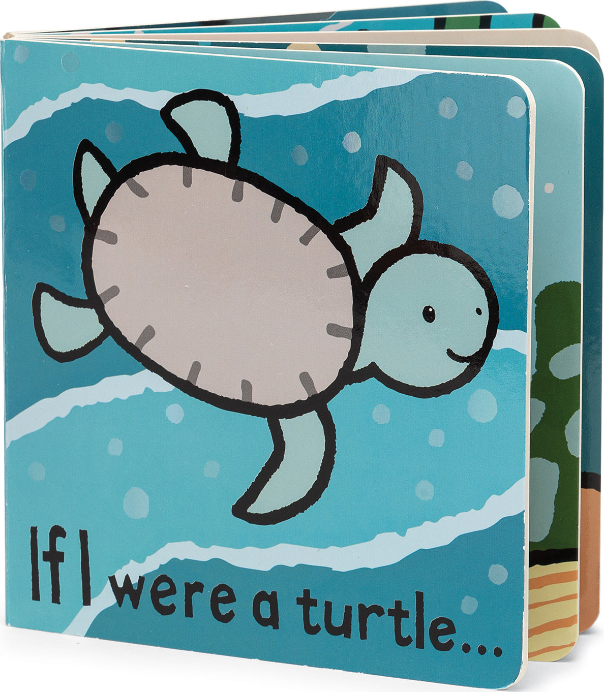 If I Were A Turtle Book