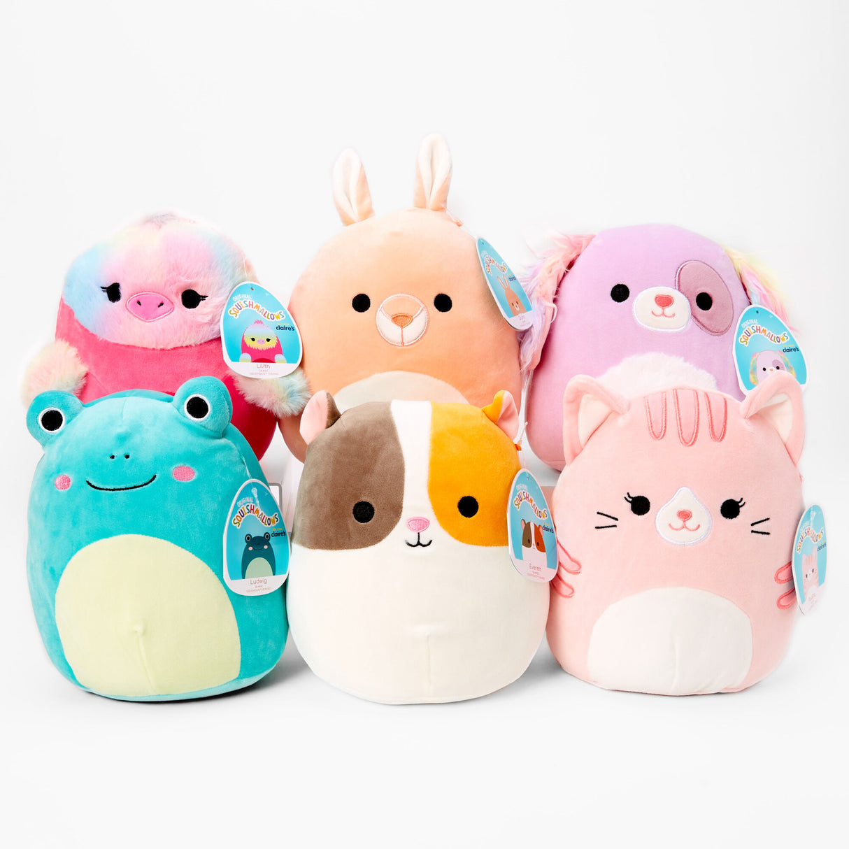 Squishmallow 8" Pet Shop