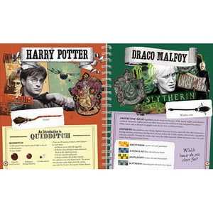Harry Potter Paper Flyers
