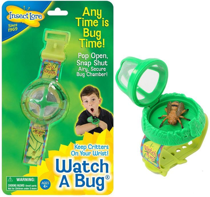 Watch a Bug