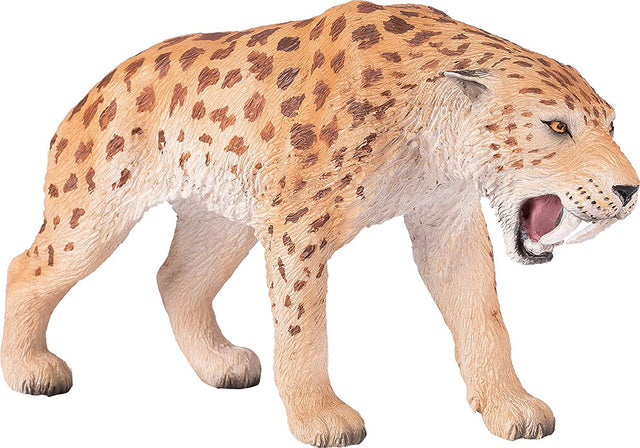 Sabretooth Tiger Smilodon