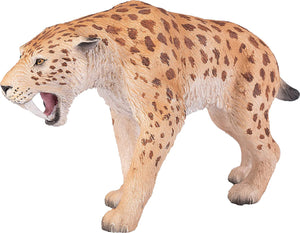 Sabretooth Tiger Smilodon