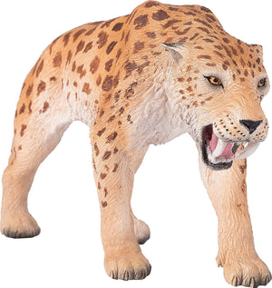 Sabretooth Tiger Smilodon