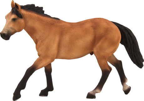 Quarter Horse Buckskin