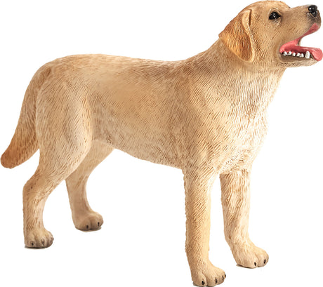 Labrador