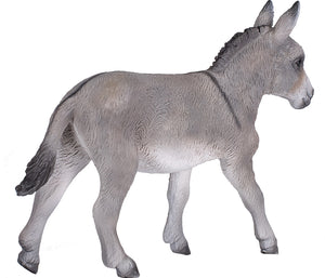 Donkey